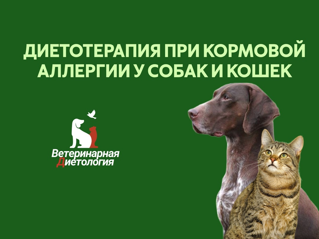 Создать карусель