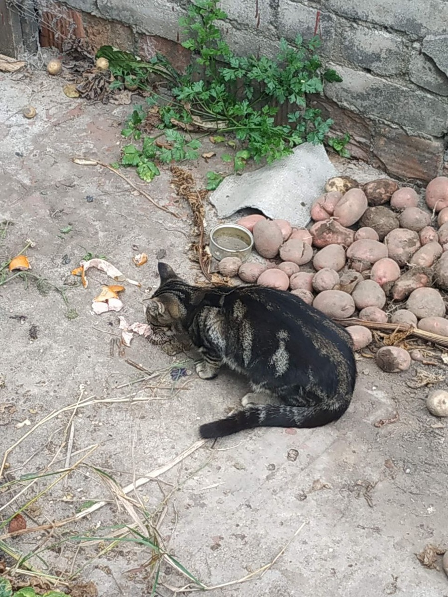 5.09. 2022 Первая встреча на полузаброшенном участке