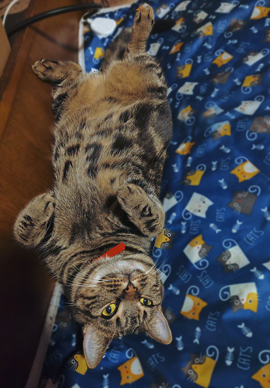 Современные фотграфии