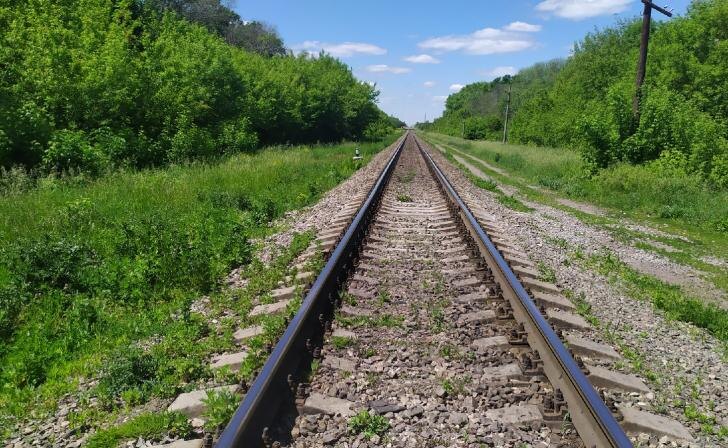    фото Курские известия