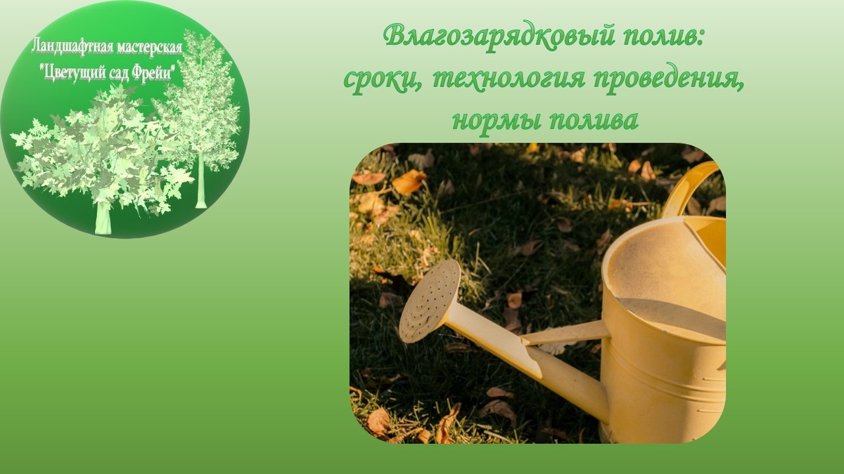 Фото автора с использованием изображения по Лицензии CC0.