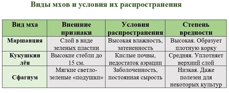 Таблица, для наглядности