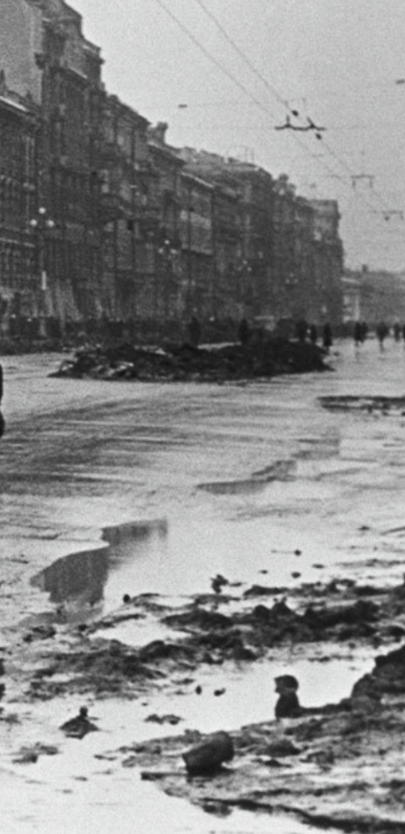 Фото взято из открытых источников.