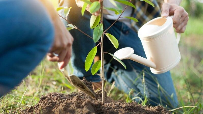    Фото: Shutterstock/Indypendenz