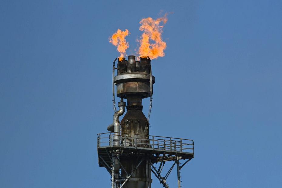    Patrick Pleul/dpa/Global Look Press