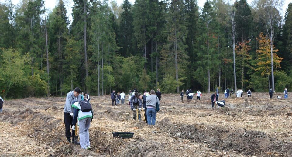    Комитет лесного хозяйства Московской области