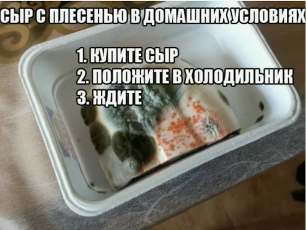 Чуть было не получилось, но я выиграла сыр в прятки 