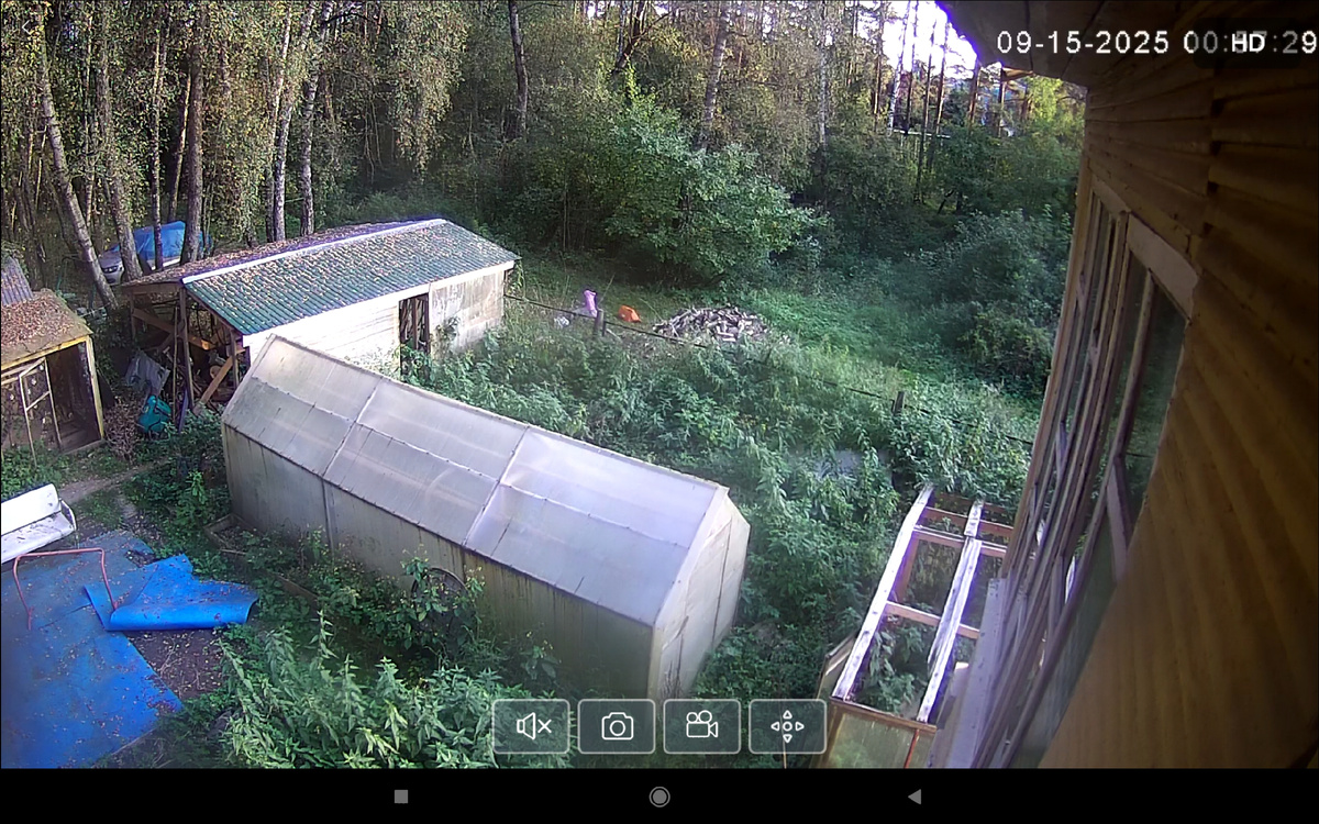 Грузовик привез дрова