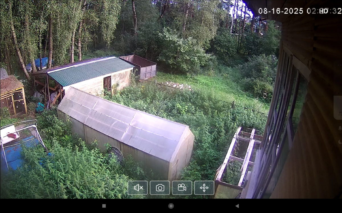 А как вам крапива в моем огороде?