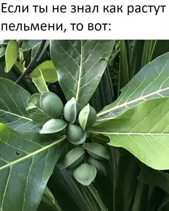 Источник: соцсети