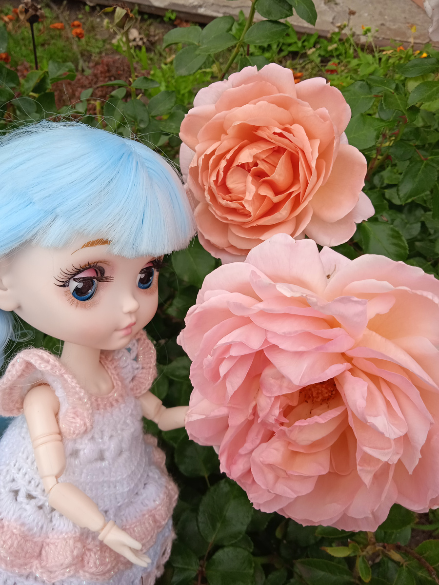 Фото автора канала. 