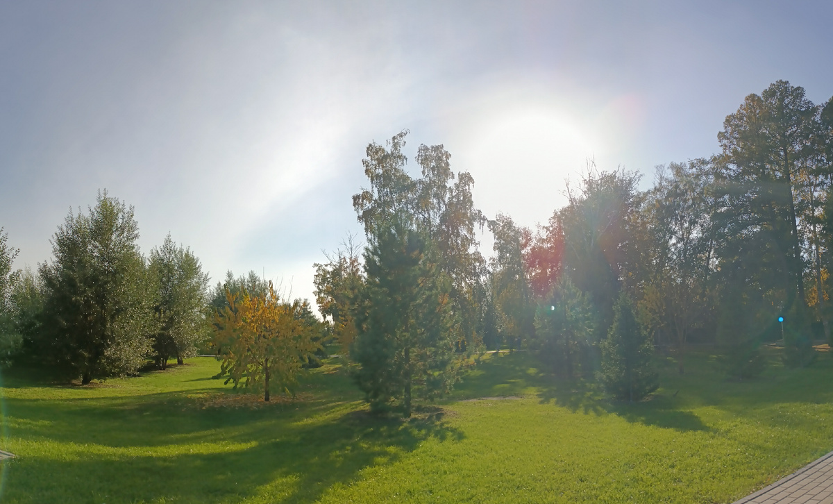 Где-то на просторах моего города. Нагорный парк. Фотография автора, сентябрь 2025 года. 