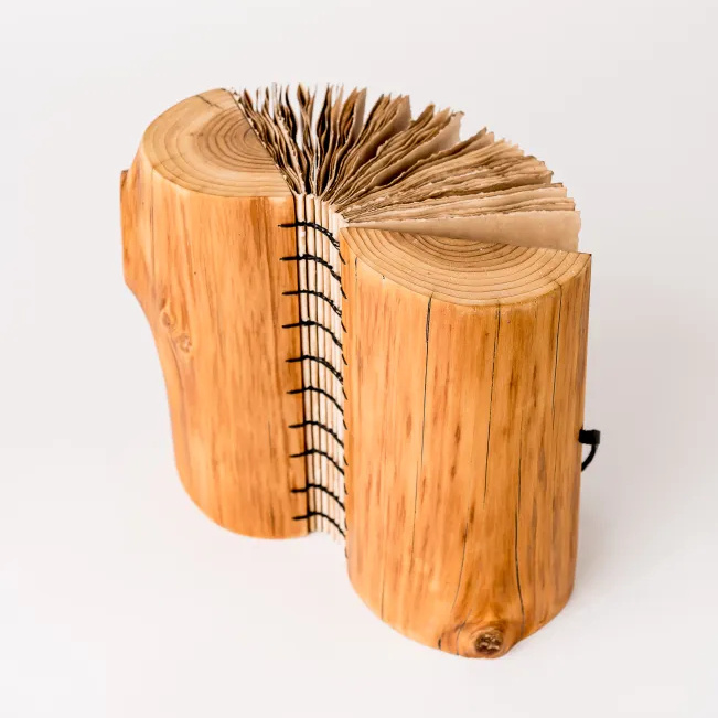 Фото: https://debrafrances.com/