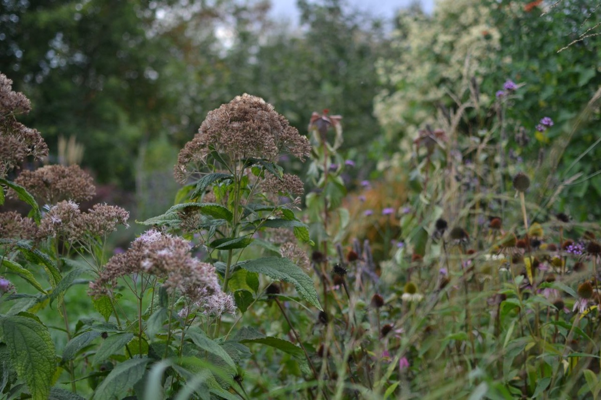 Посконник и компания, галерея, листайте