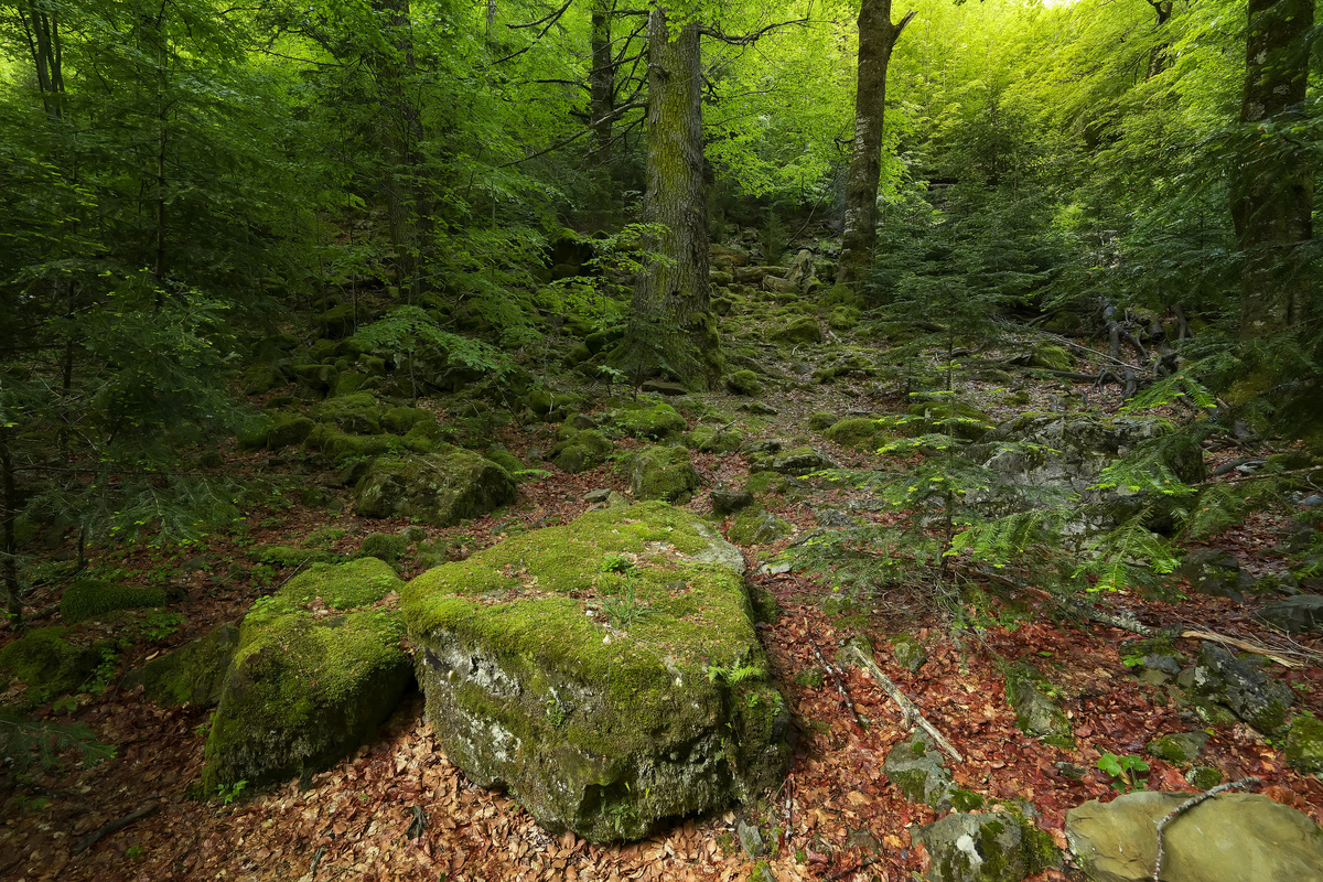 фото из интернета