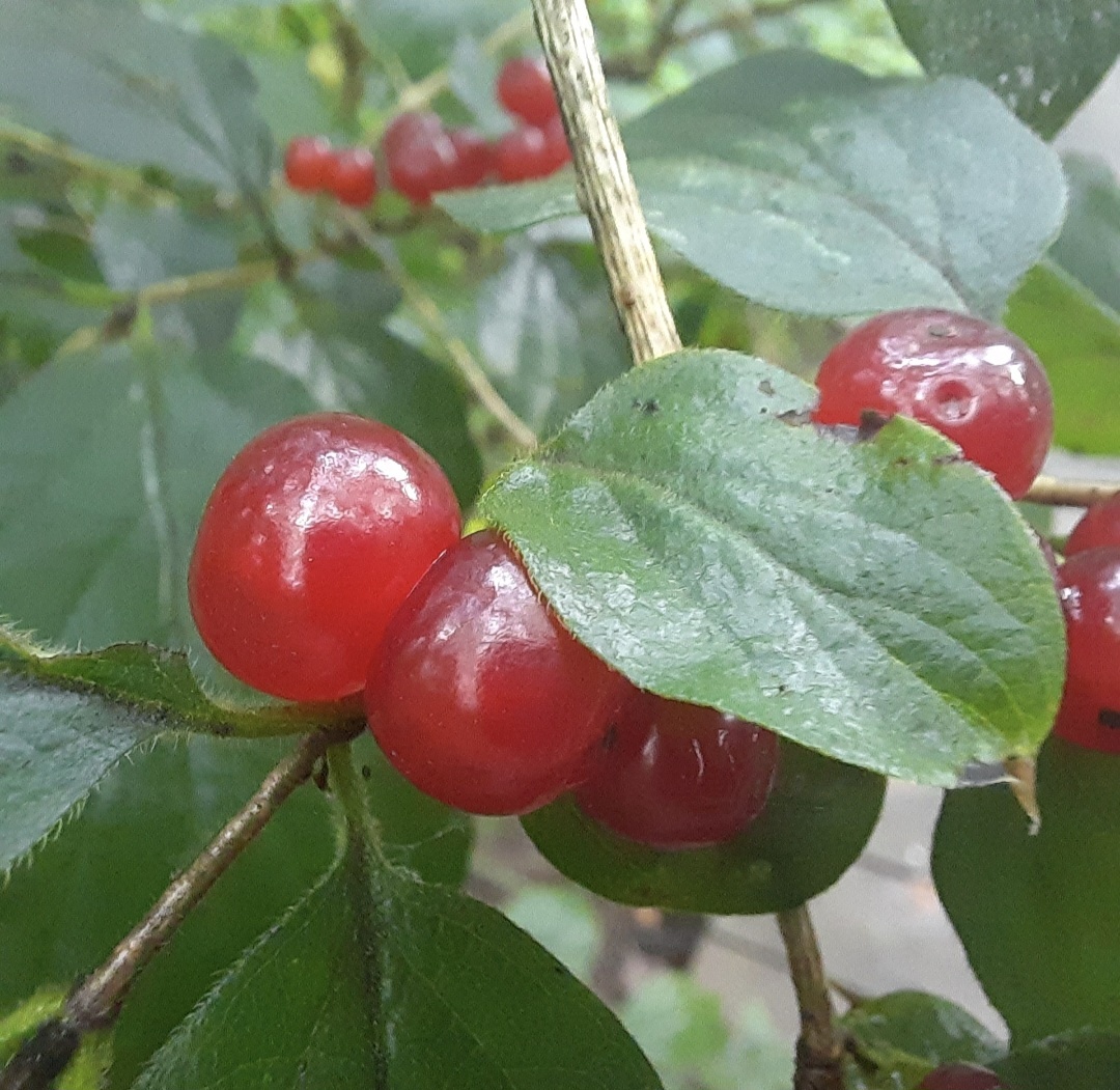 Фото автора блога