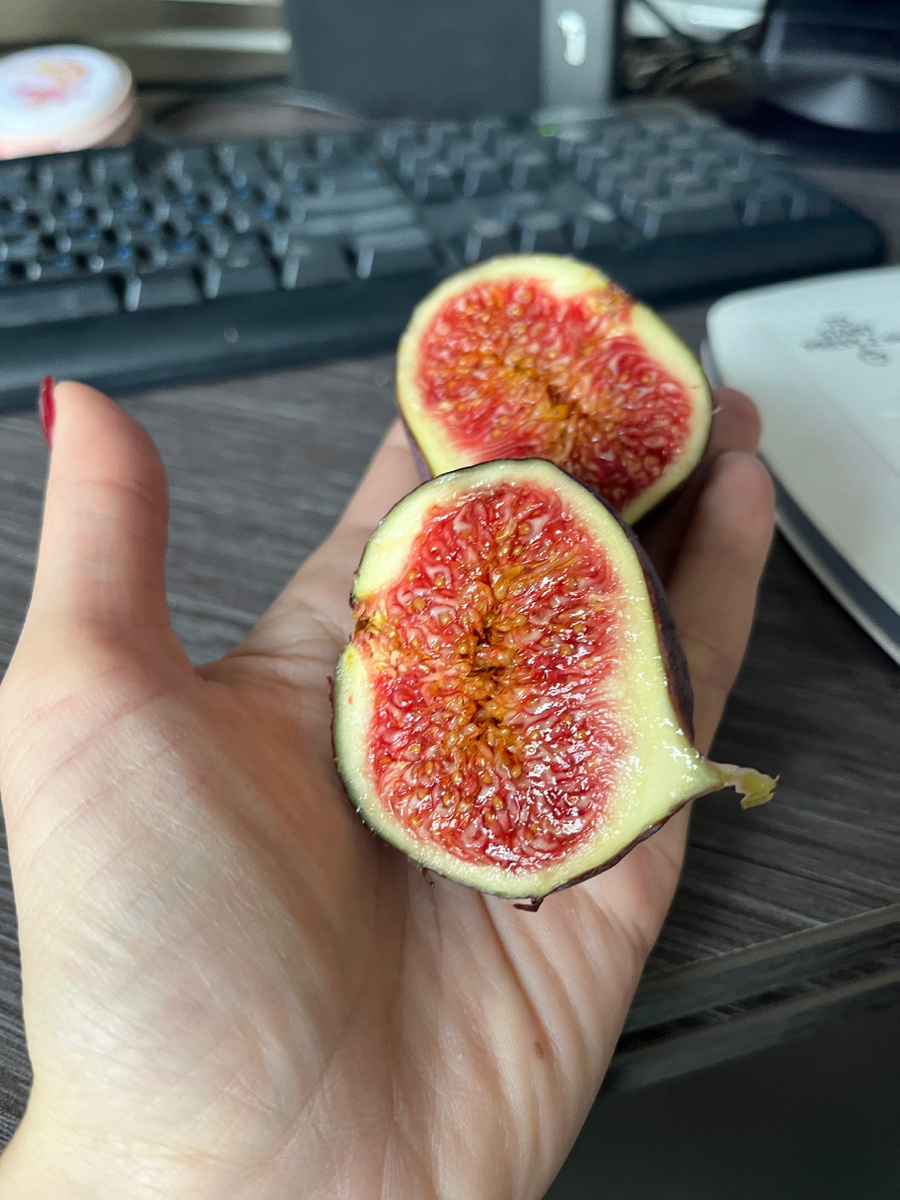 Мой любимый фрукт – инжир. Классная альтернатива конфете или шоколадке! Фото автора 