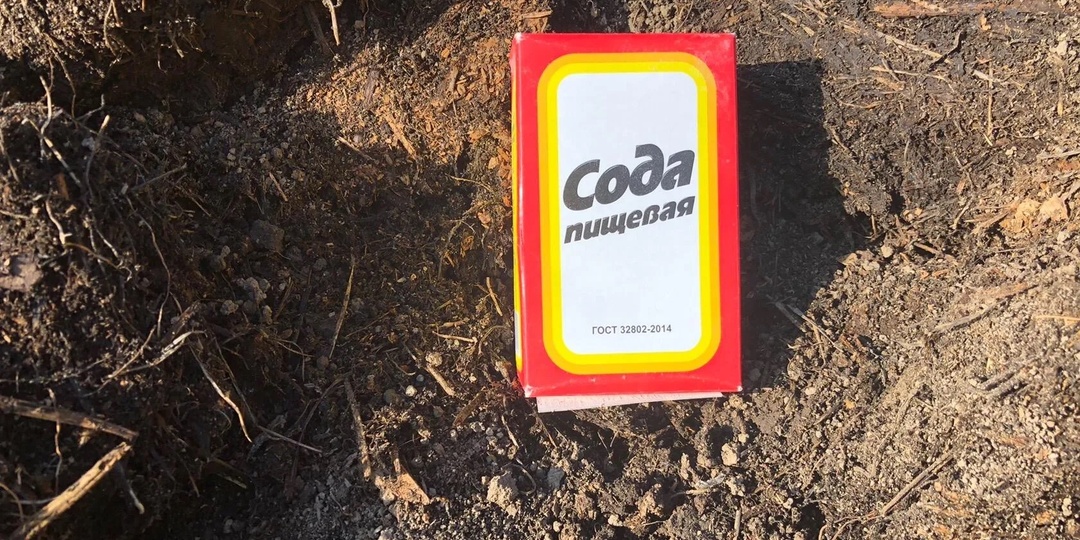 Рассыпаю соду в теплицах и на огороде, о вредителях можно забыть навсегда