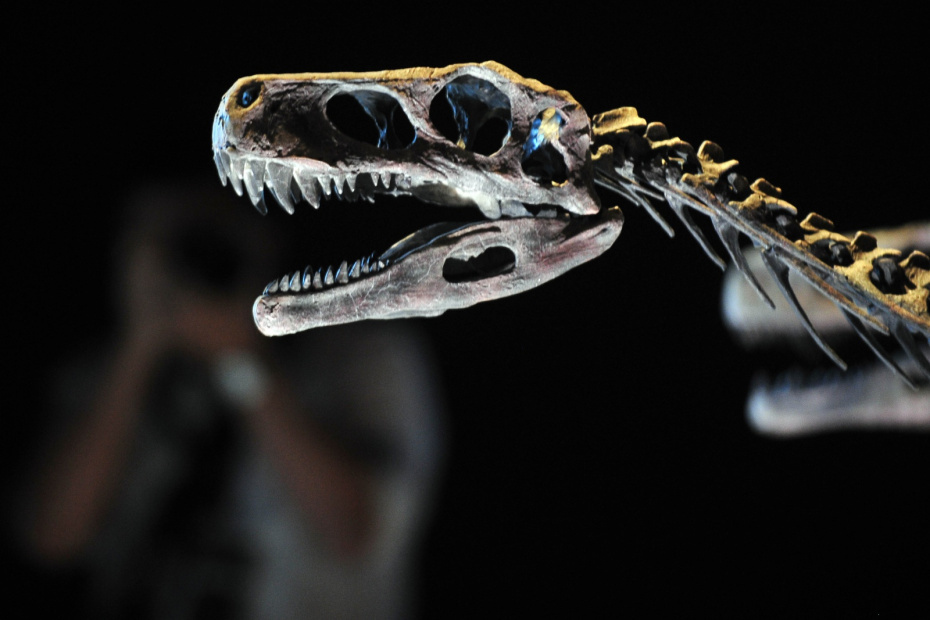    Then Chih Wey/Xinhua/Global Look Press