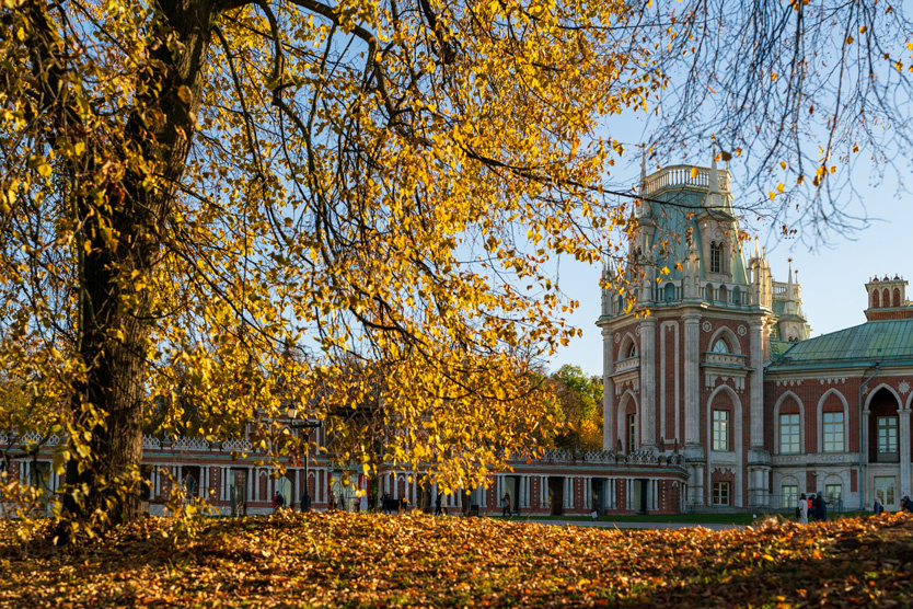    Фото: Руслан Шамуков / ТАСС