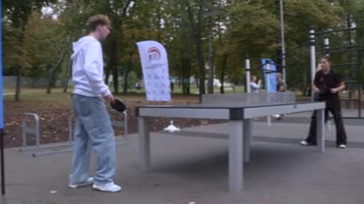    Новая спортивная площадка появилась в парке Дзержинского в Курске