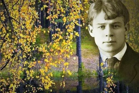 из интернета