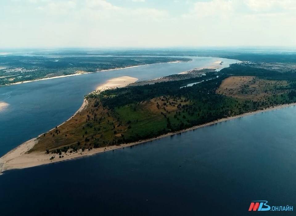    Фото: МТВ.ОНЛАЙН / архив