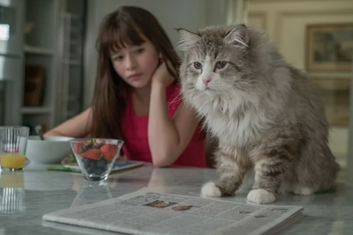 Девять жизней, фильм 2016 г