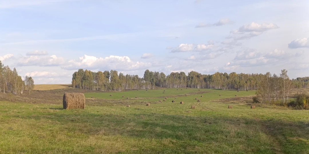 Ох уж эти мифы про деревню