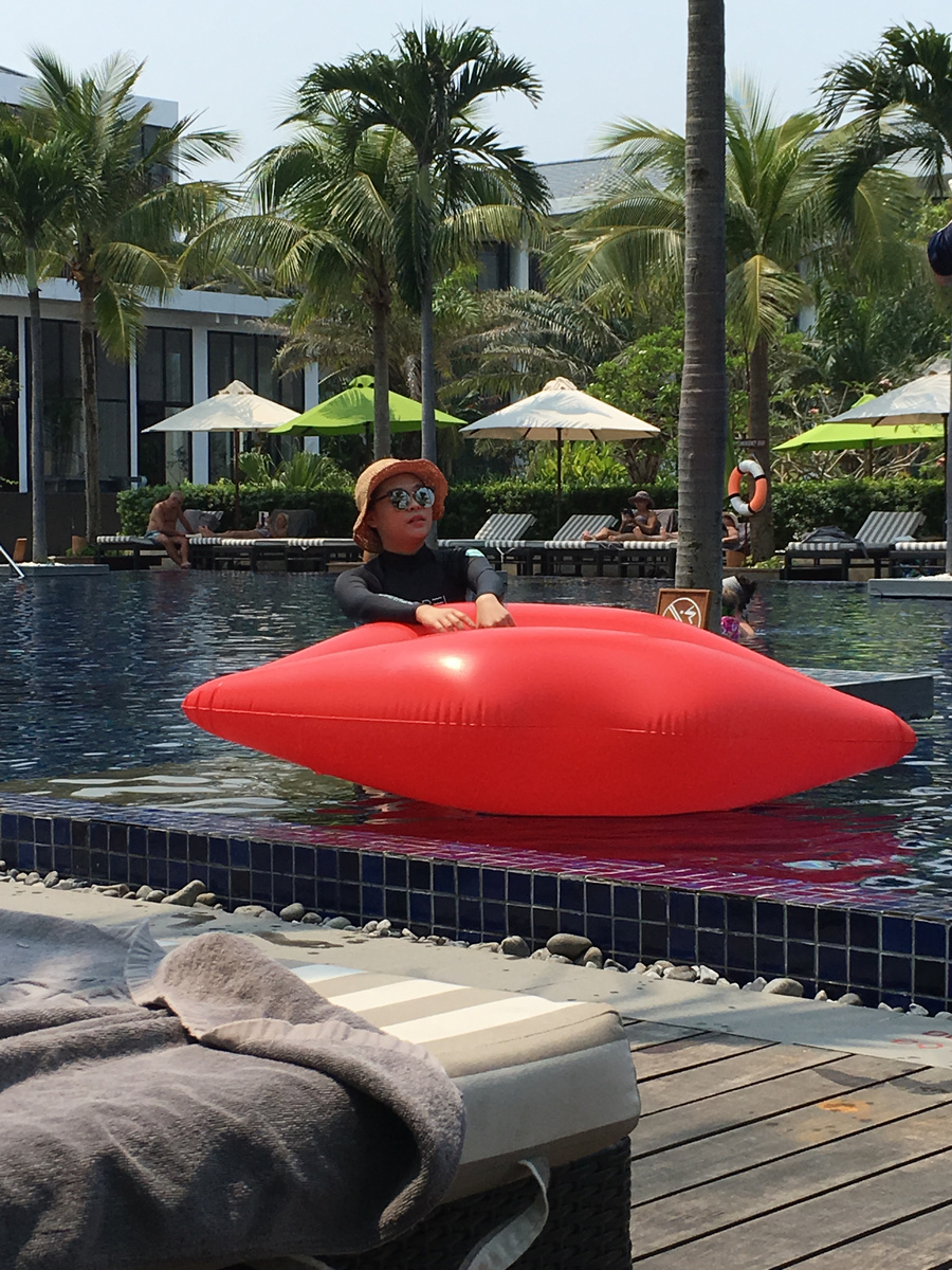 Фотогалерея (Вьетнам)