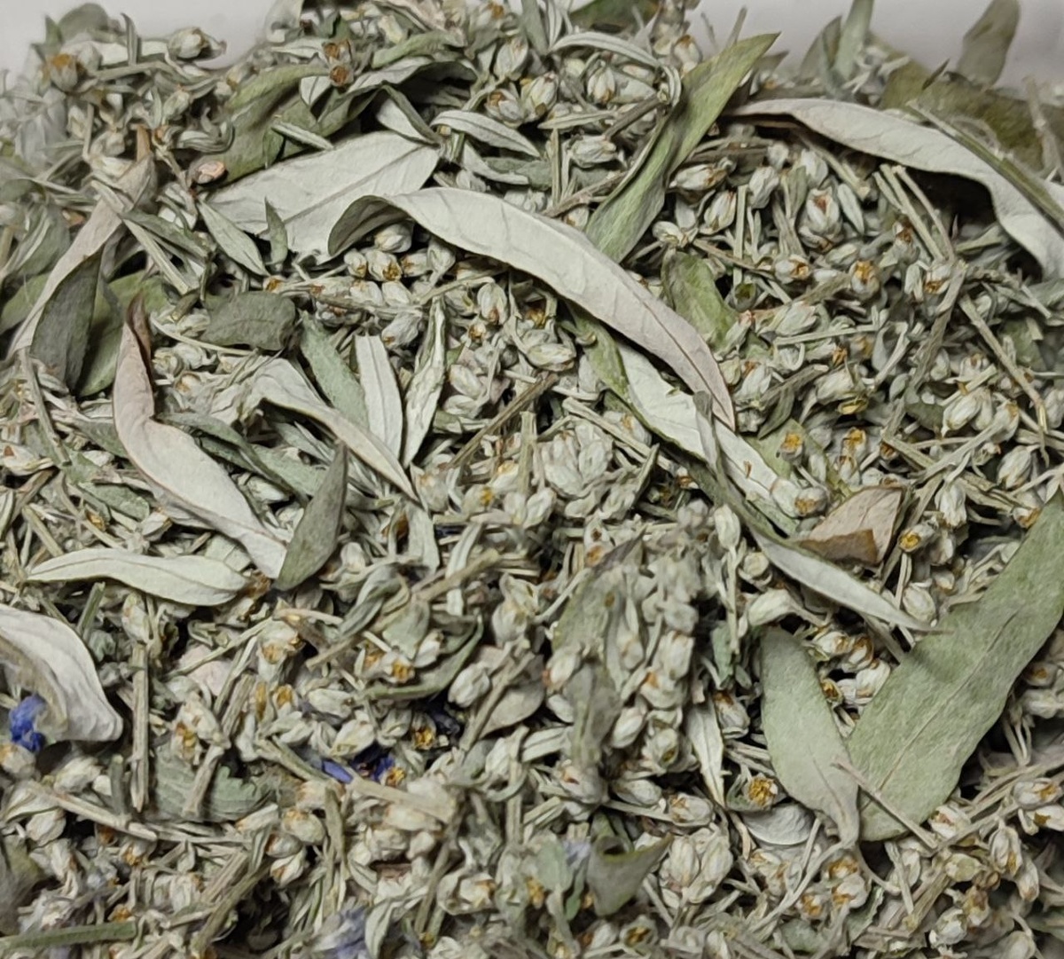 Высушенная полынь 