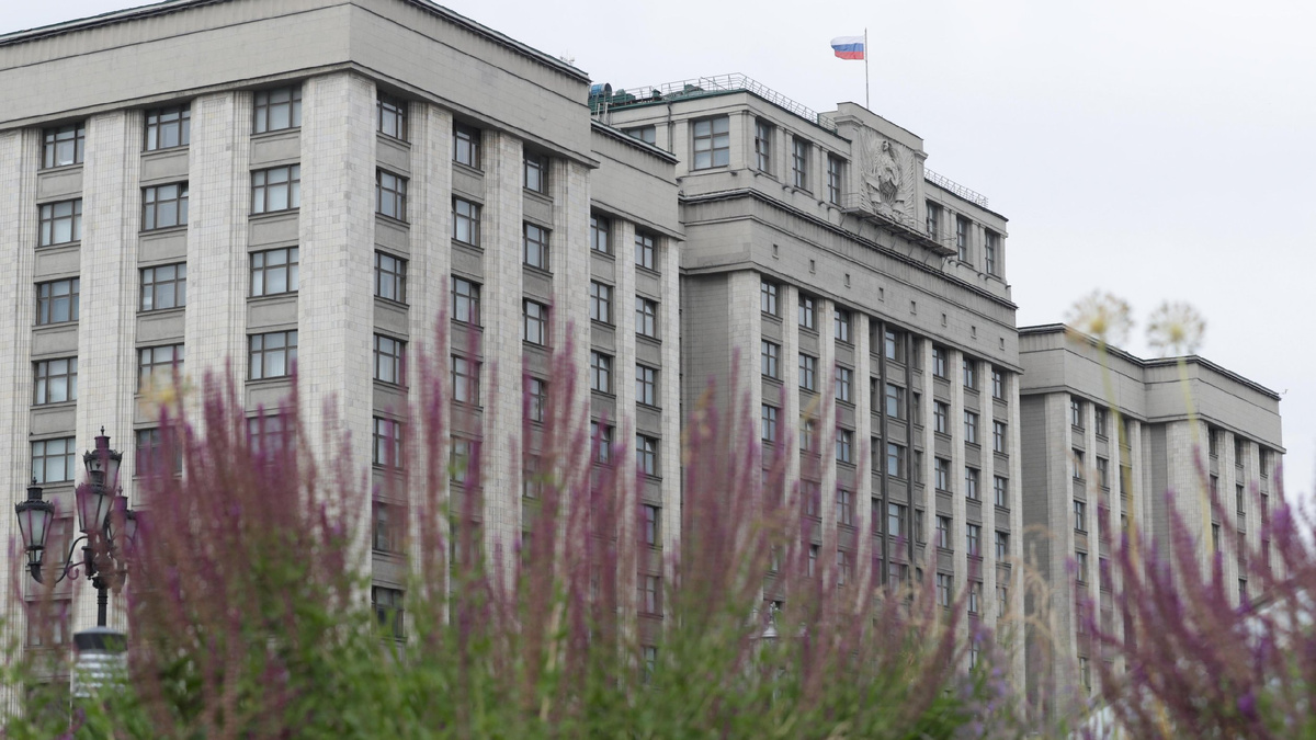 Фото: duma.gov.ru