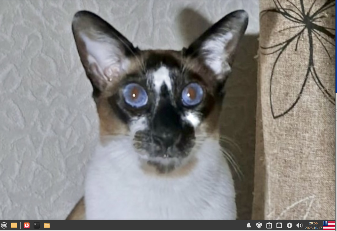  Linux Mint - 22.1 "Xia"