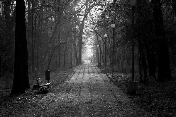 Фотограф: Anton Atanasov: https://www.pexels.com/ru-ru/photo/6785061/