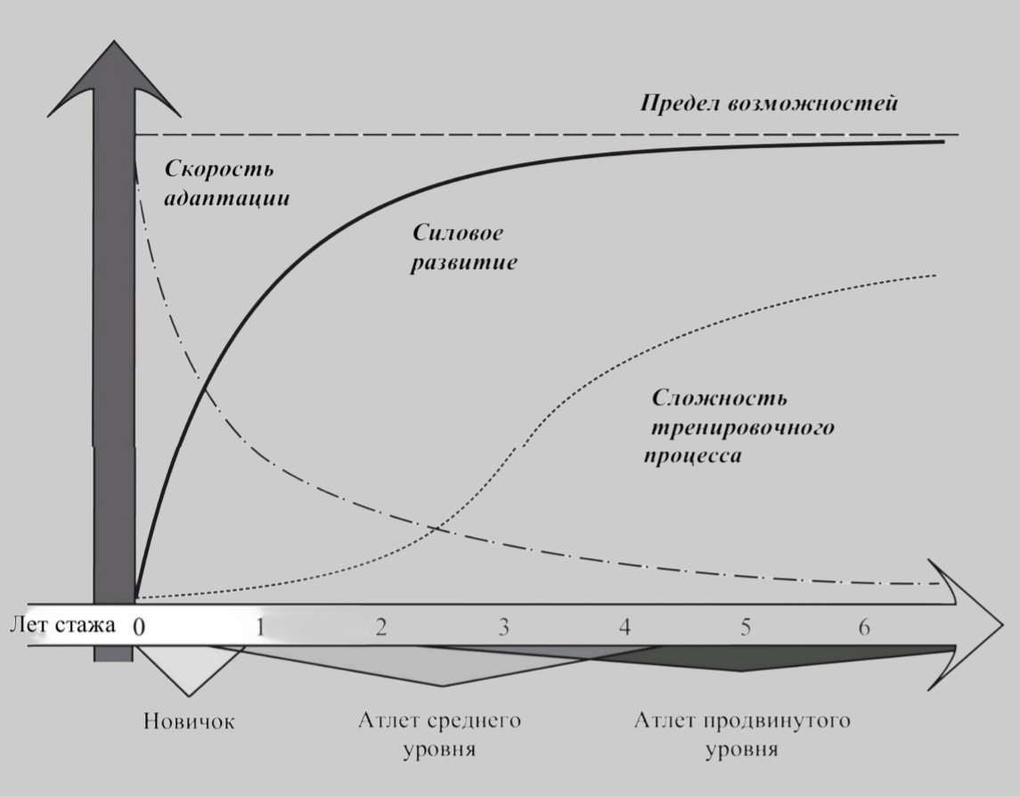 График зависимости ваших силовых показателей от сложности тренировочного процесса. Обратите внимание, что чем больше ваш тренировочный стаж, тем сложнее должен становиться тренировочный процесс, чтобы избежать падения скорости адаптации и плато. 