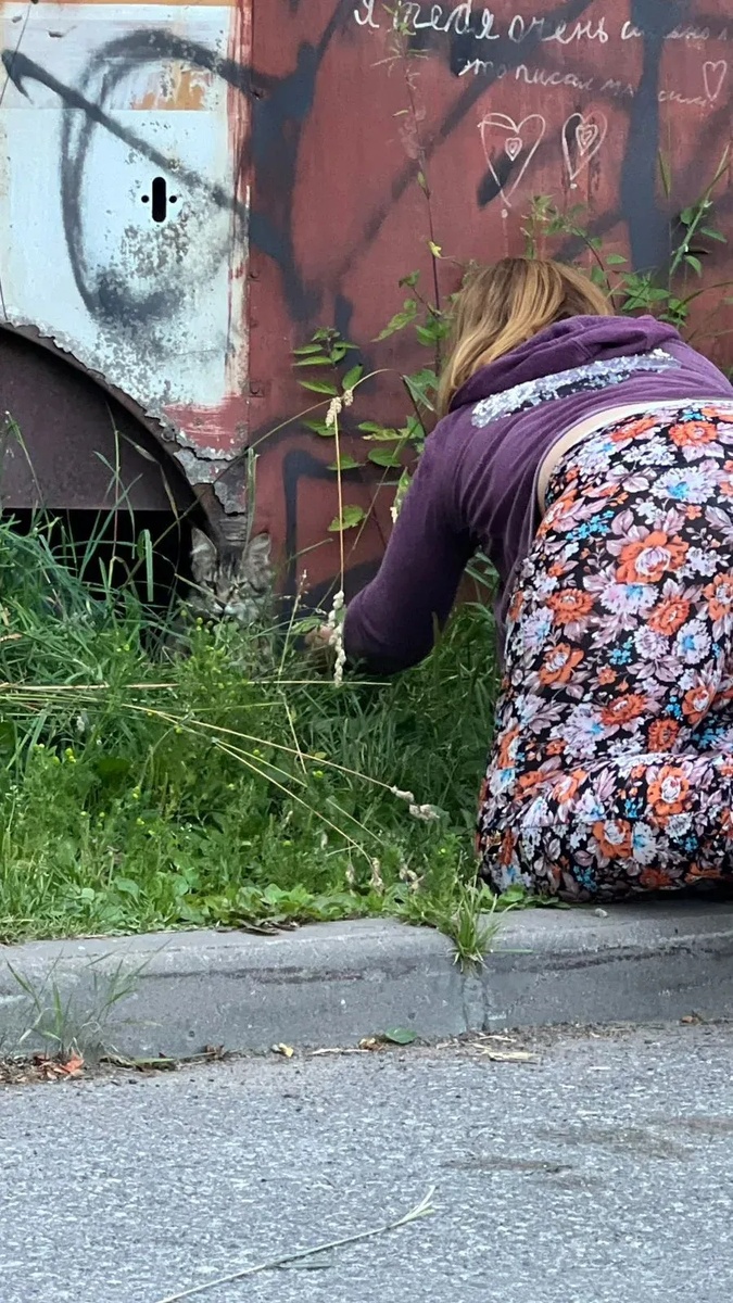 Фото с большой охоты. Оказывается оно есть у всех скем нас связало лето с Котами