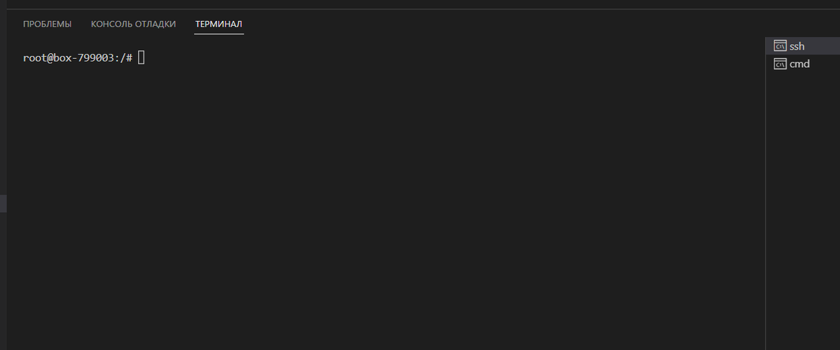 Успешное подключение к консоли сервера по SSH
