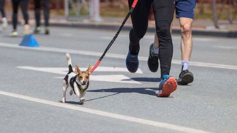    Фото: Федор Воронов / «Ямал-Медиа»