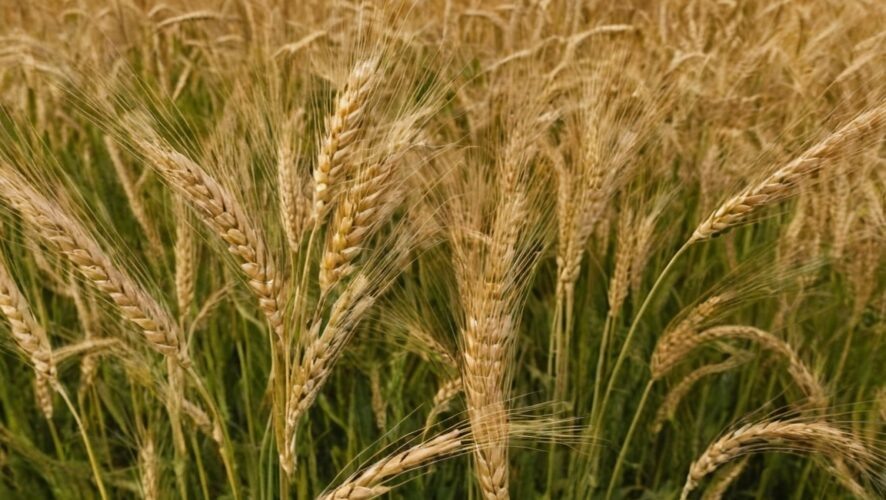    Фото: создано ИИ