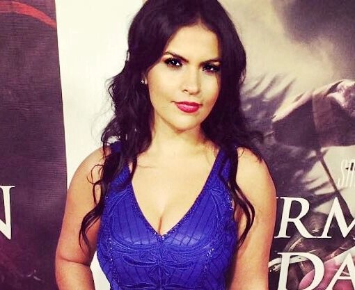    VASSY. Фото: en.wikipedia.org