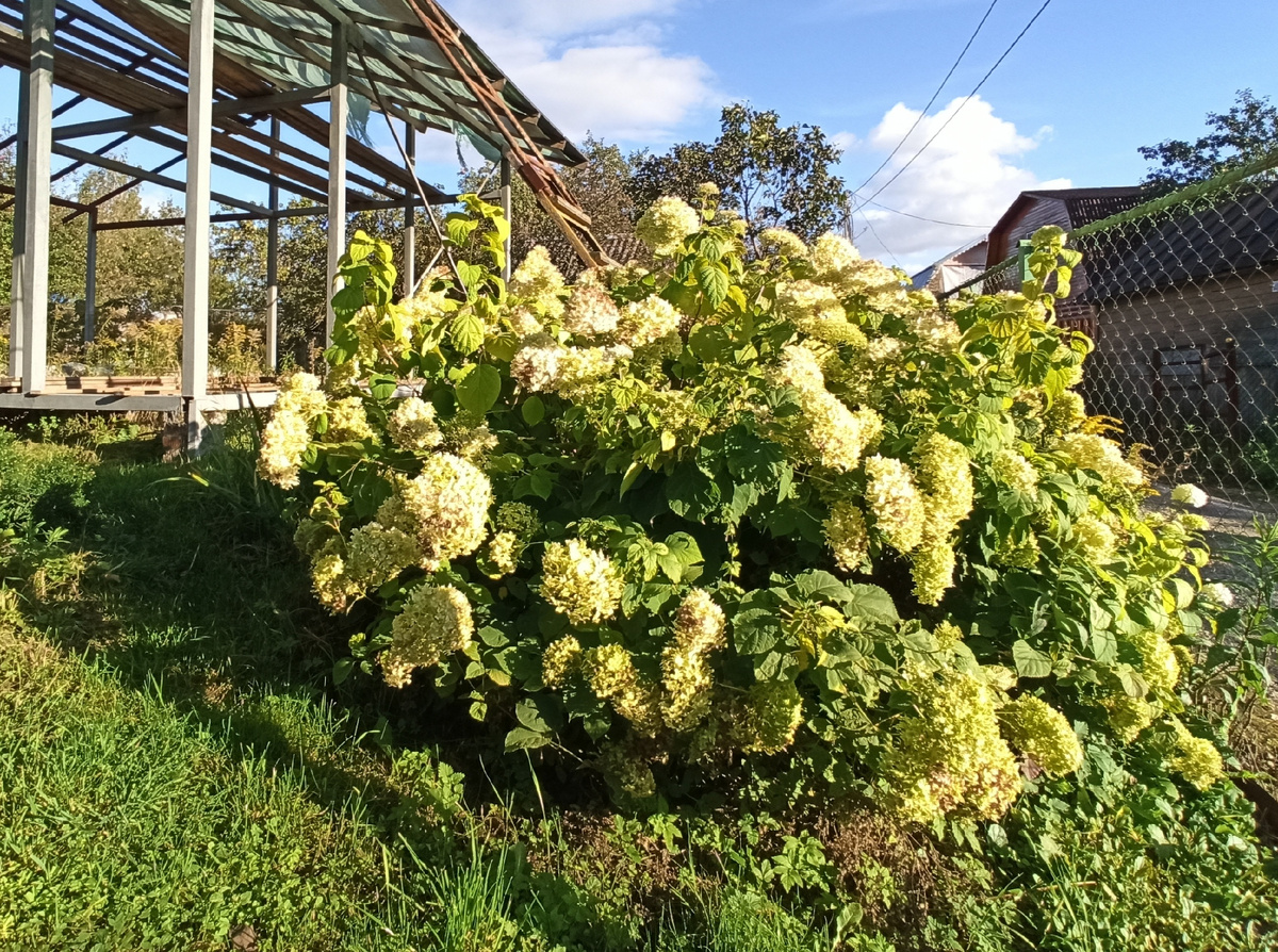 Фото автора. 