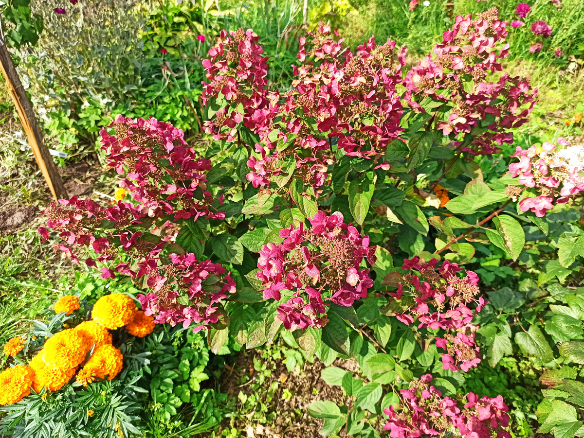 Фото автора. 