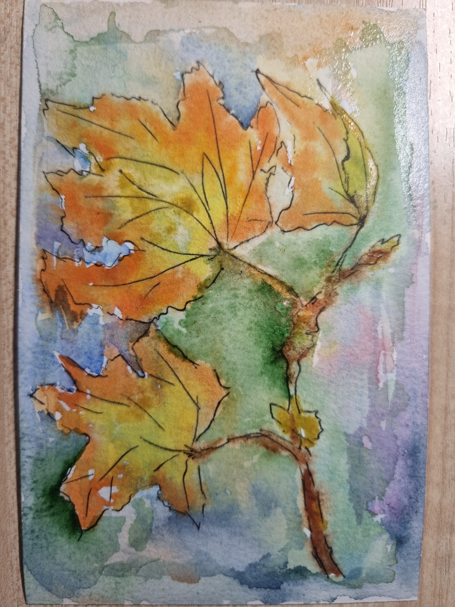 Работа и фото автора 