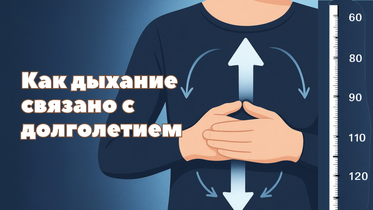 Как дыхание связано с долголетием