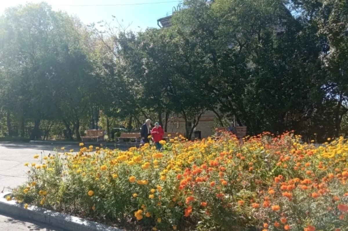    Бабье лето в разгаре: какая погода будет 21 сентября в Хабаровске и крае