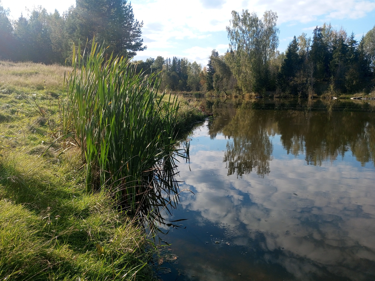 Рассвет. Фото автора.