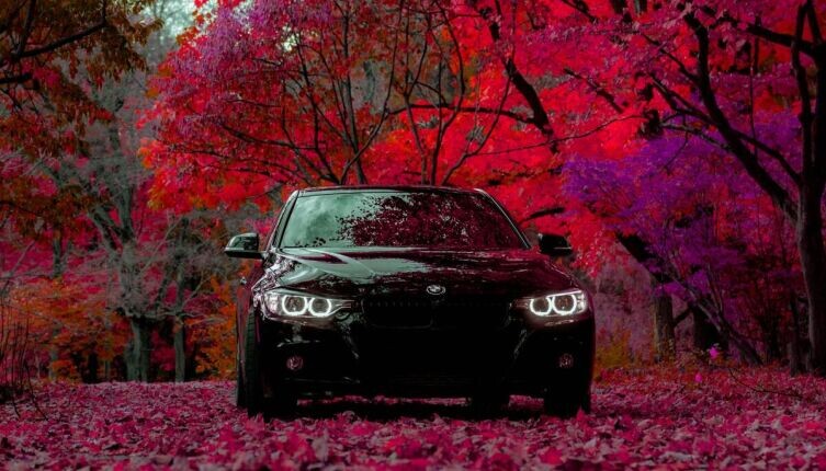     Фото: Yuvraj Singh on Unsplash