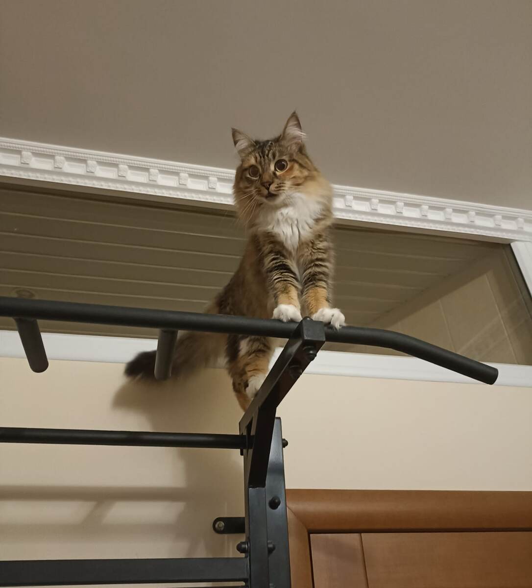 Как всегда, на высоте!)) 