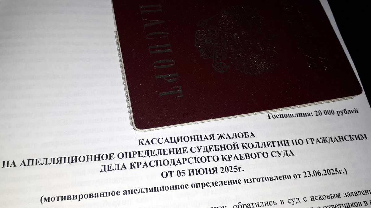 Кассационная жалоба Лёнчика