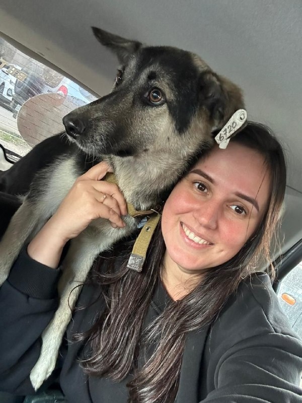 Наш супер-врач Наталья Андреевна из клиники Мир Животных (Воронеж, Олимпийский) Фото из архива автора